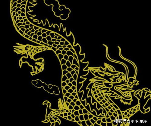 開大,注意事項,金龍