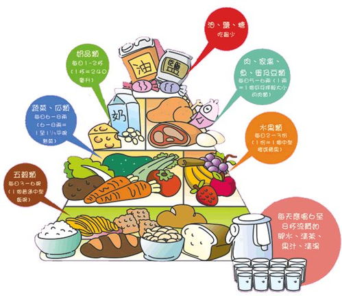 小學生,注意事項,飲食