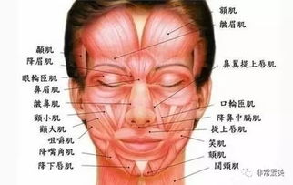 打過肉毒素后應(yīng)注意事項