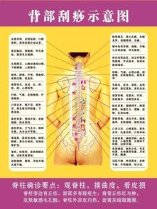 背部刮痧后的注意事項(xiàng)和禁忌,背部刮痧注意事項(xiàng)和禁忌癥,做完背部刮痧注意事項(xiàng)