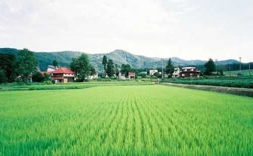 很簡(jiǎn)單的一個(gè)故事，看完你會(huì)懂愛的真諦！