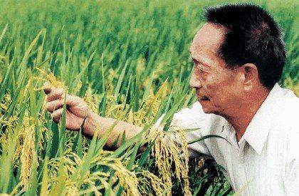 有愛不覺春天遠(yuǎn)