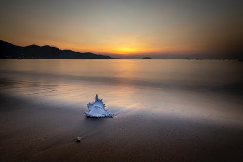 有關(guān)教師節(jié)的現(xiàn)代詩歌