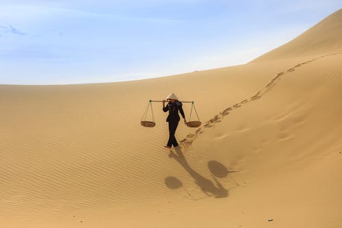 我的四個姐姐國色天香現代小說許言唐雨許琳在線閱讀