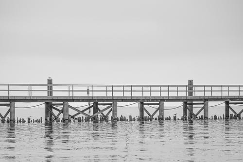 陸先生的小心肝甜翻了小說(shuō)喻悠素陸景琰無(wú)錯(cuò)版閱讀