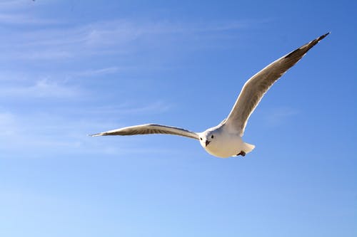 上海一位父親立下遺囑：女兒，你的孝心只值1塊錢
