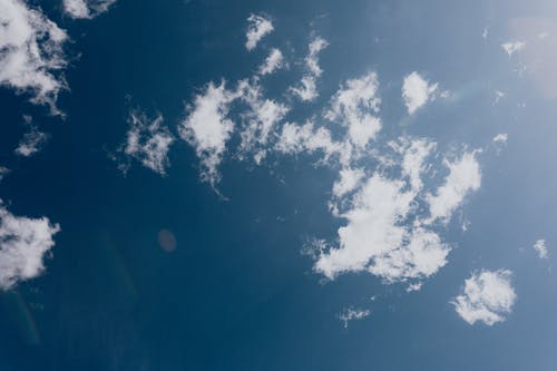 超級敗家系統(tǒng)小說逆襲田大壯凌月無廣告閱讀