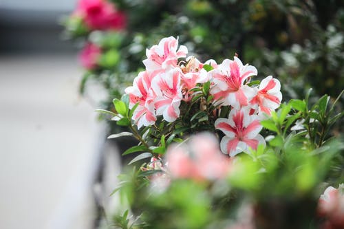 《小時代》顧源經(jīng)典臺詞