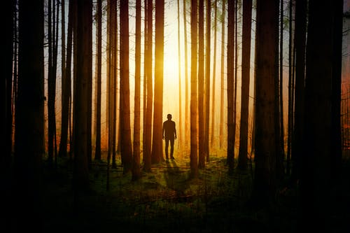 《智永與“退筆?！薄肺难晕募白⑨?></p>
            <div   id=