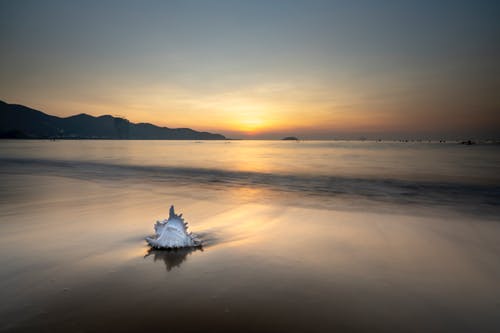 大學(xué)國家勵(lì)志獎(jiǎng)學(xué)金申請(qǐng)書集合四篇