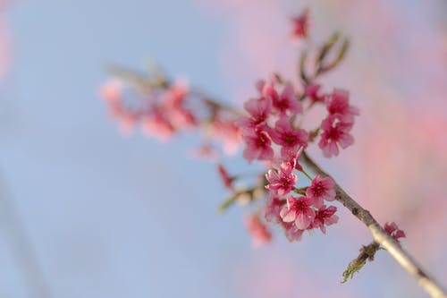 祝福朋友結(jié)婚祝福語