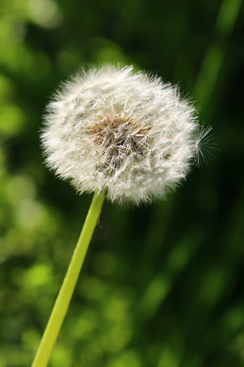 玄幻鴻蒙神王小說莫良莫小依在線閱讀