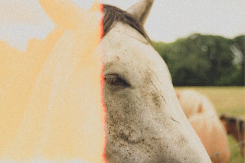爽文醫(yī)神降世小說(shuō)張尋北趙敏敏章節(jié)閱讀