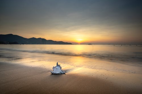 重陽(yáng)節(jié)詩(shī)歌