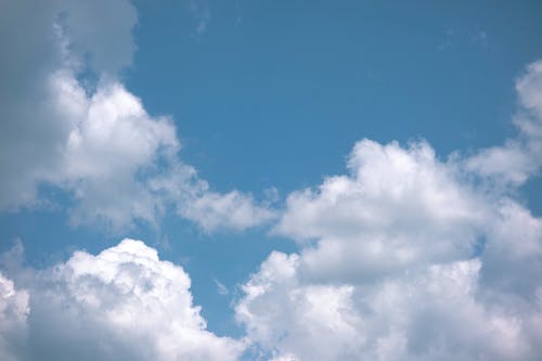 生日祝福語老人家短信