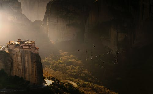 陳規(guī)傳的文言文翻譯
