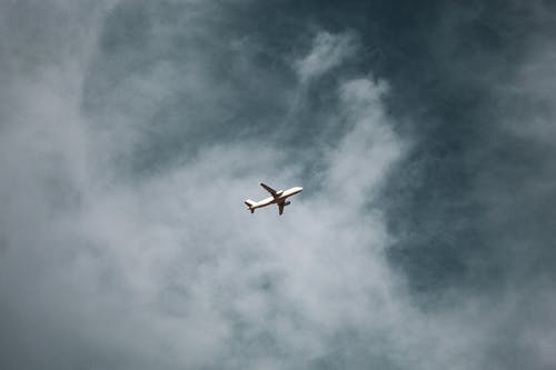 熱推天命小神棍小說主角初五在線閱讀