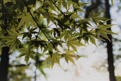 天天向上經(jīng)典臺(tái)詞