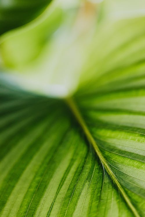 玄幻末世天師小說主角閔池章節(jié)閱讀