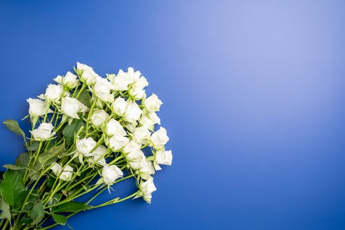行在人間那些年連載中主角李如天小說目錄閱讀