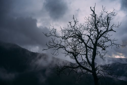 關(guān)于古詩作文合集9篇