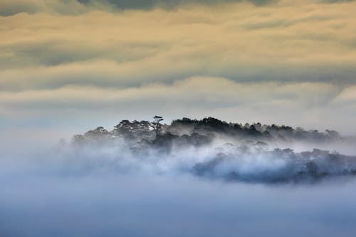 都市重生之王者歸來(lái)小說(shuō)林風(fēng)江雨煙在線閱讀