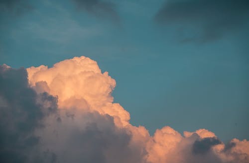 傅爺?shù)男∽孀谟拄[離婚了重生童鹽鹽傅謹小說無彈窗閱讀