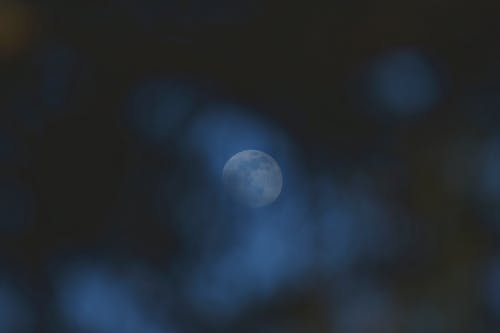 仙婿為帝小說無錯版葉羽顏雪大福喵閱讀