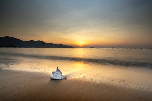 關(guān)于婦女節(jié)的感恩日記（精選8篇）