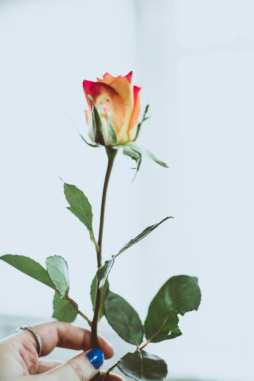 重生天醫(yī)豪婿小說姜轍陳思思在線閱讀
