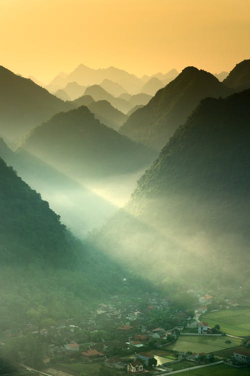 關(guān)于古詩(shī)伴我成長(zhǎng)作文匯總五篇