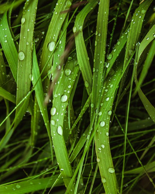 【精品】會計實習(xí)日記范文5篇