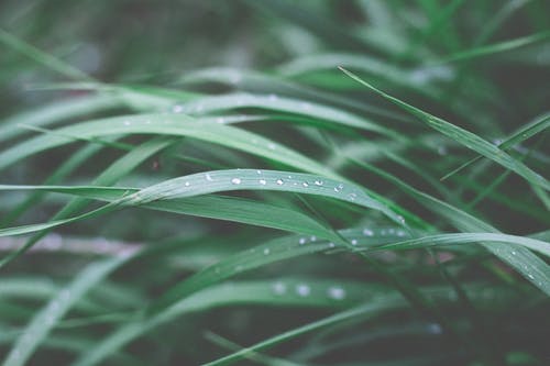 逆襲玩世醫(yī)狂小說陳二蛋楊雪柳無廣告閱讀