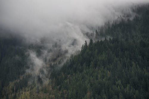 三國(guó)最強(qiáng)爭(zhēng)霸系統(tǒng)小說(shuō)穿越男主劉云目錄閱讀