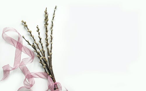 熱文戰(zhàn)神強(qiáng)勢(shì)歸來小說葉無道徐靈兒搶先閱讀 熱文戰(zhàn)神強(qiáng)勢(shì)歸來小說葉無道徐靈兒搶先閱讀