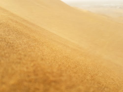 蓋世醫(yī)婿小說by唐二九葉喬柳凝煙無錯版閱讀