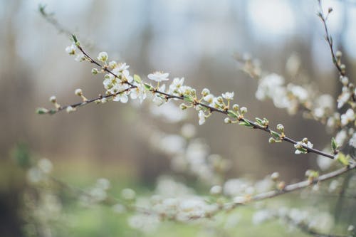 重陽(yáng)節(jié)微信祝福語(yǔ)