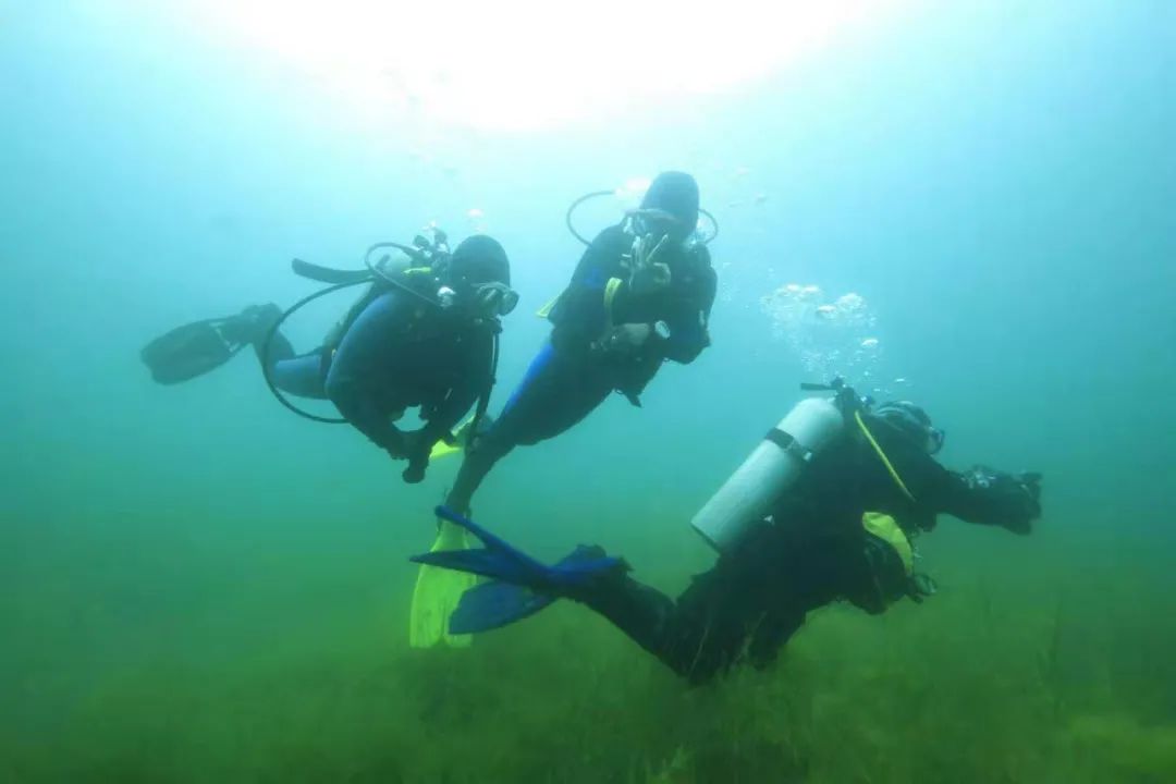 重線(xiàn)下體驗(yàn)的潛水運(yùn)動(dòng)，如何通過(guò)線(xiàn)上的系統(tǒng)化運(yùn)營(yíng)做到GMV翻8倍