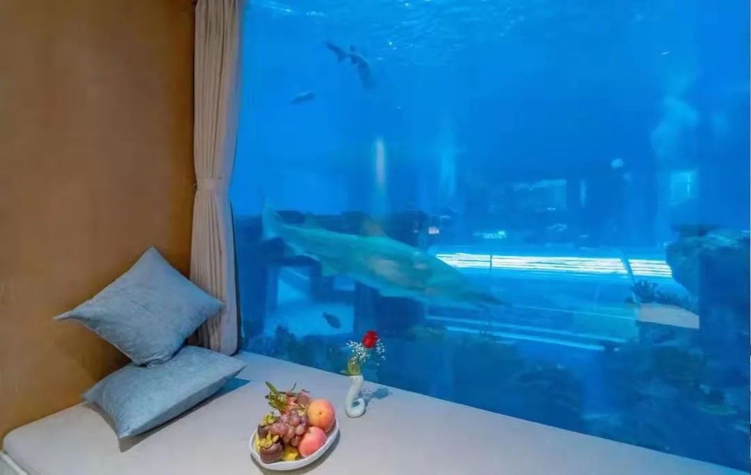 重線(xiàn)下體驗(yàn)的潛水運(yùn)動(dòng)，如何通過(guò)線(xiàn)上的系統(tǒng)化運(yùn)營(yíng)做到GMV翻8倍