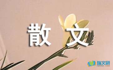 生活需要個(gè)性化隨筆散文