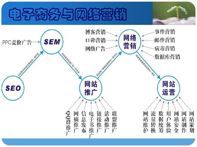 電子商務(wù)主要學什么？