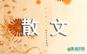 因?yàn)閻?ài)所以愛(ài)散文隨筆