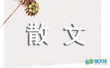 舊物成堆往事如灰散文隨筆