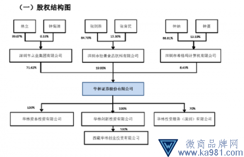（華林證券股權(quán)結(jié)構(gòu)。圖片來(lái)源：華林證券招股書(shū)）