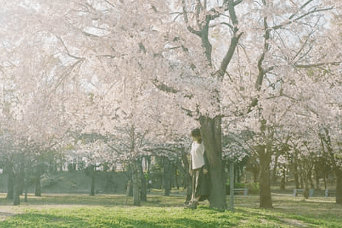 朋友圈獨(dú)一無(wú)二的經(jīng)典說(shuō)說(shuō)大全(60條) 朋友圈獨(dú)一無(wú)二的經(jīng)典說(shuō)說(shuō)大全(60條)