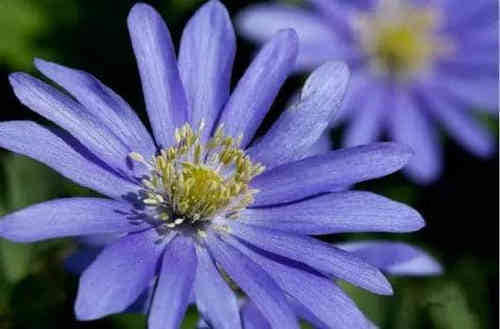 生活很現(xiàn)實的經(jīng)典說說致自己(76條) 生活很現(xiàn)實的經(jīng)典說說致自己(76條)