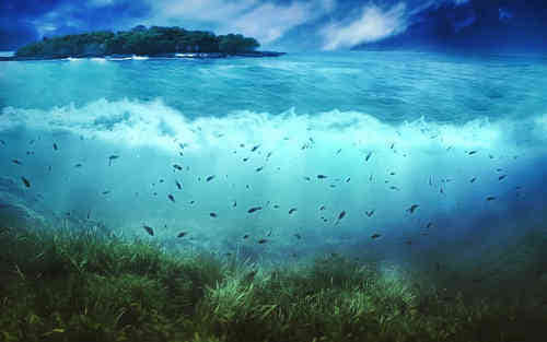 朋友圈經(jīng)典說說別人必評(píng)的心情說說(52條) 朋友圈經(jīng)典說說別人必評(píng)的心情說說(52條)