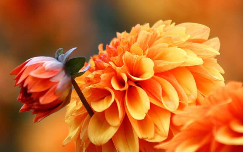 打滿雞血的勵(lì)志經(jīng)典說(shuō)說(shuō)(59條) 打滿雞血的勵(lì)志經(jīng)典說(shuō)說(shuō)(59條)