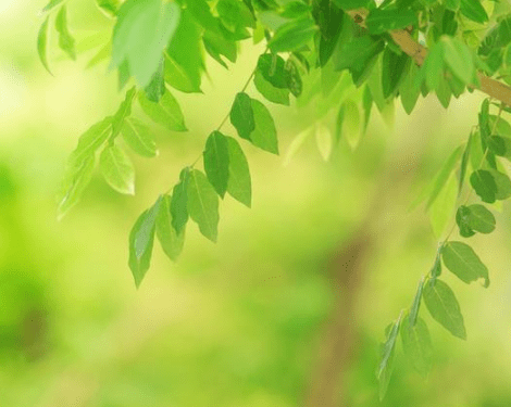 讓你輕松一笑的經(jīng)典說(shuō)說(shuō)（70條）