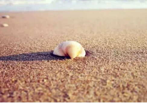 現(xiàn)實扎心的經(jīng)典說說(48條) 現(xiàn)實扎心的經(jīng)典說說(48條)